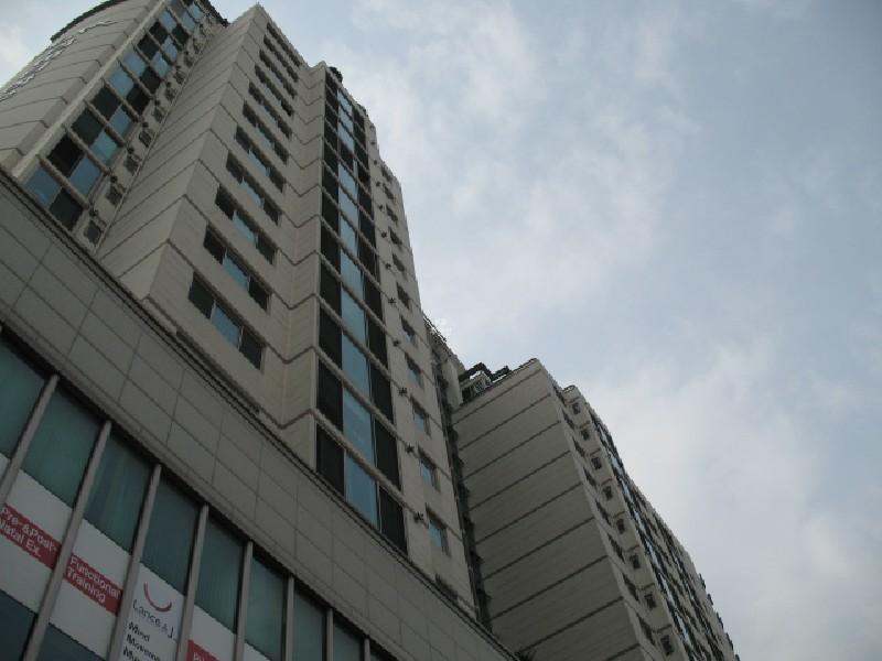 사진 087