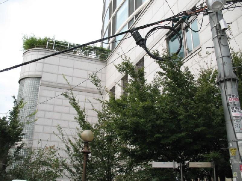 사진 083