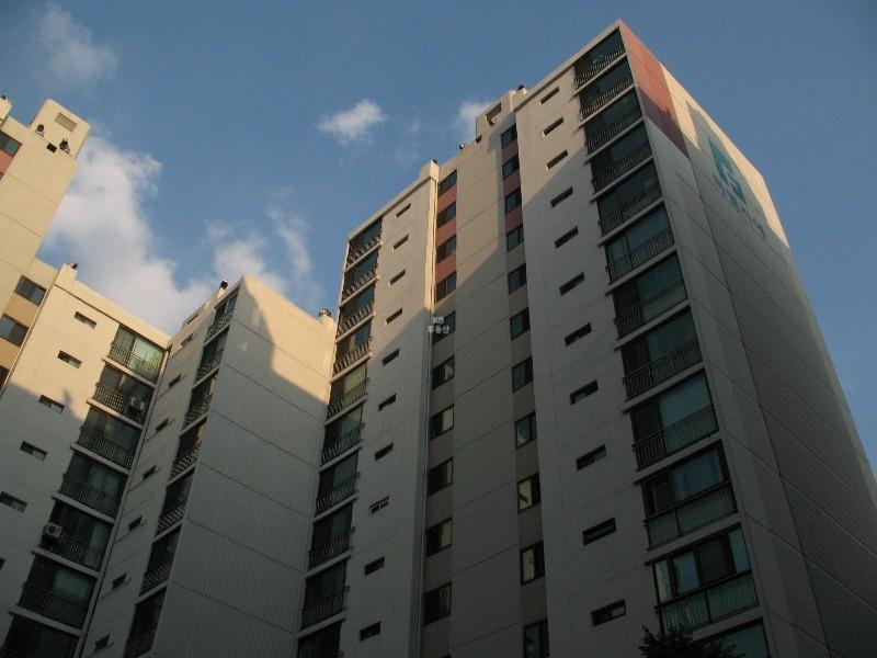 사진 465