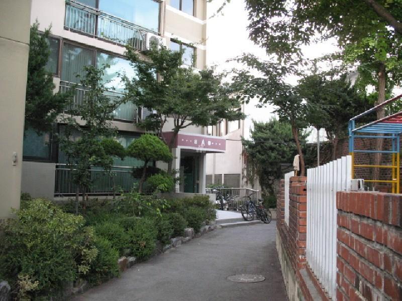 사진 475