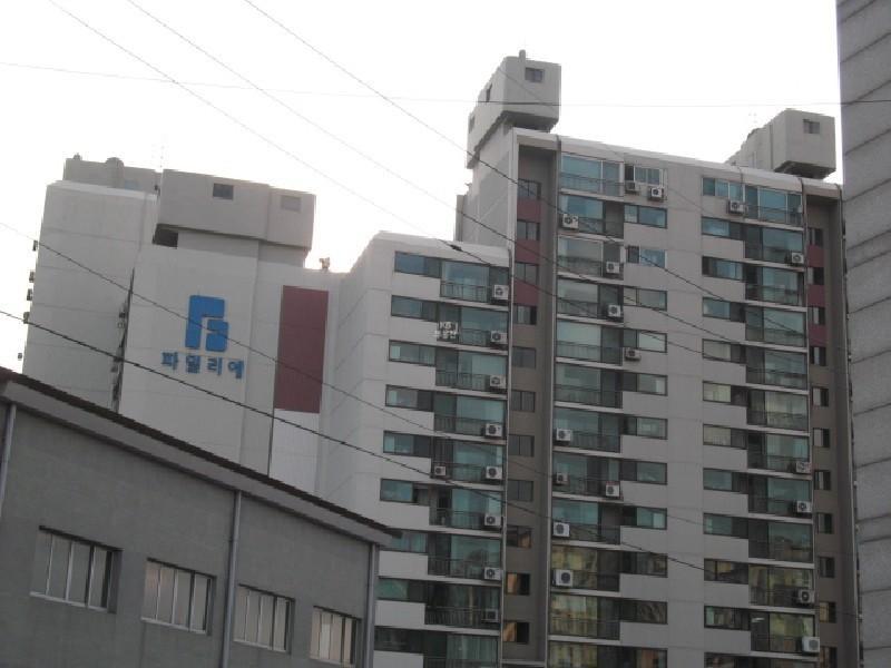 사진 484