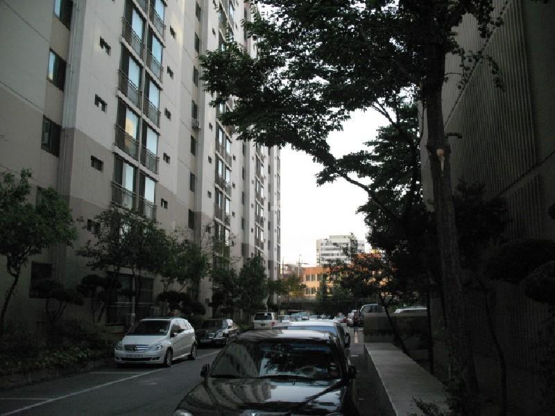 사진 473