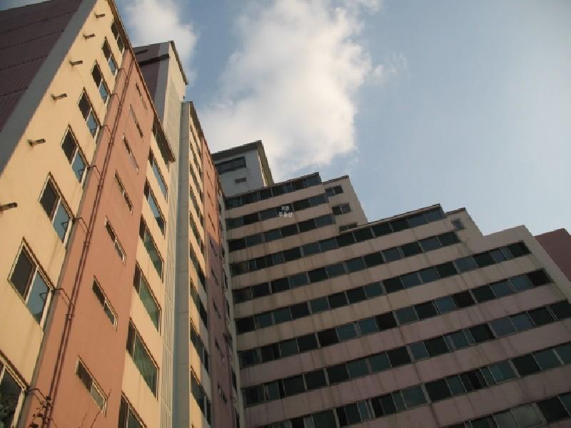사진 504