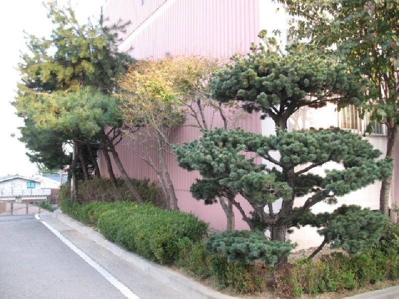 사진 505