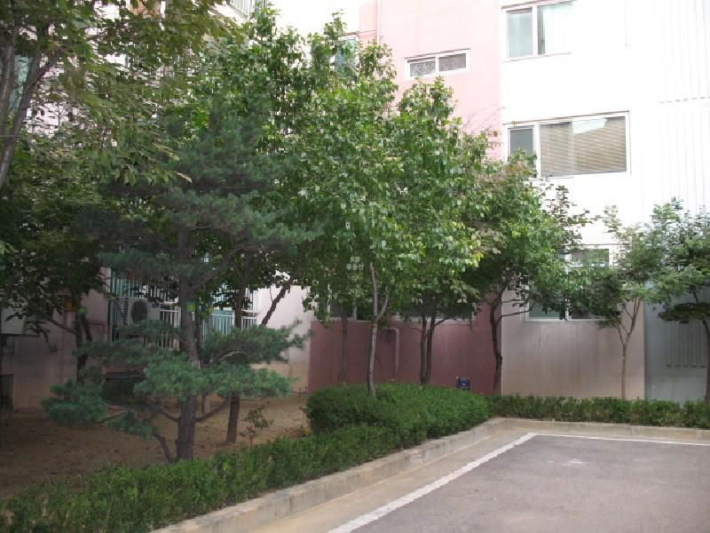 사진 508