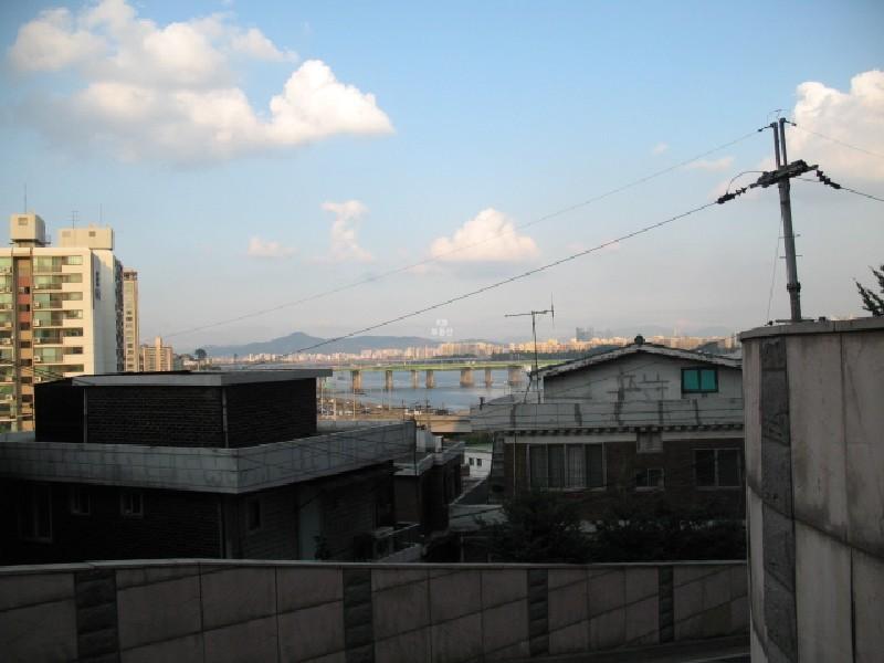 사진 513