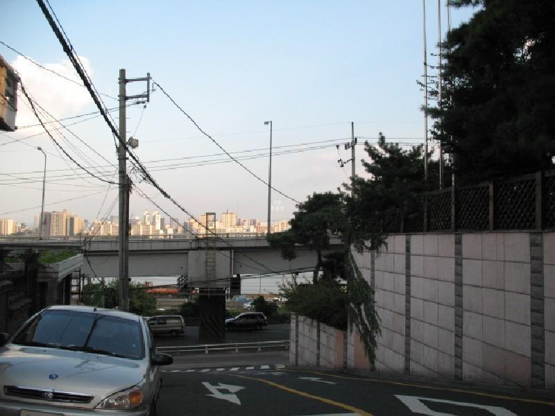 사진 517