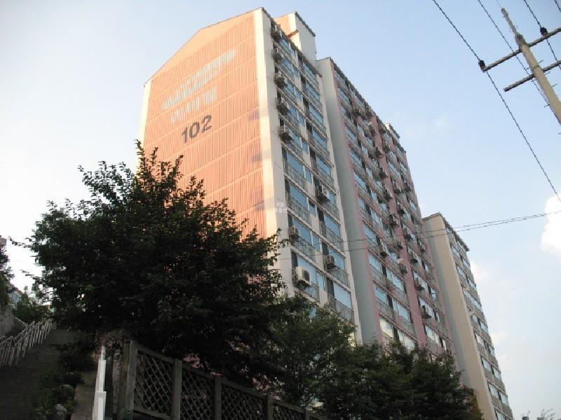 사진 518