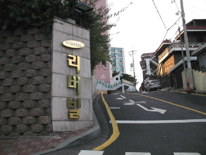 사진 501