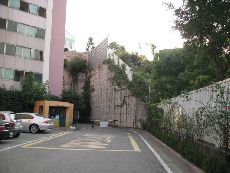 사진 503