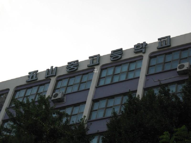 사진 519