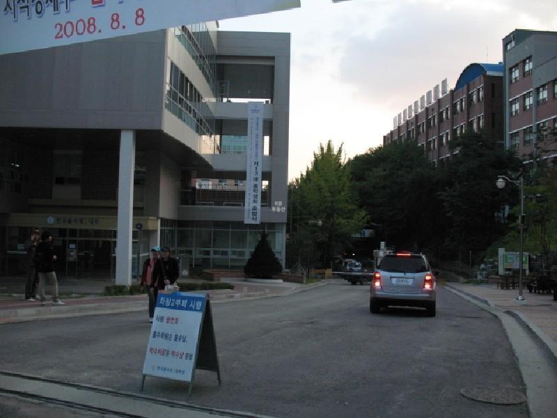 사진 547