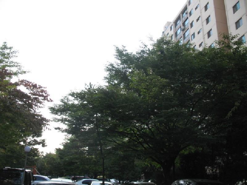 사진 007
