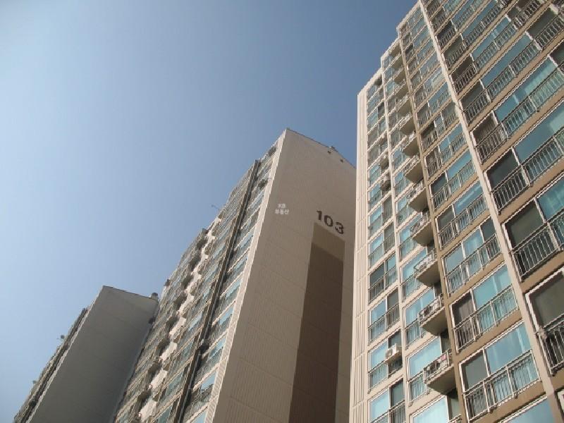 사진 039