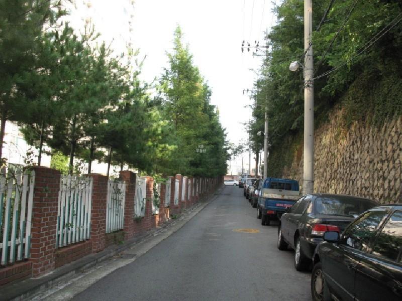 사진 035