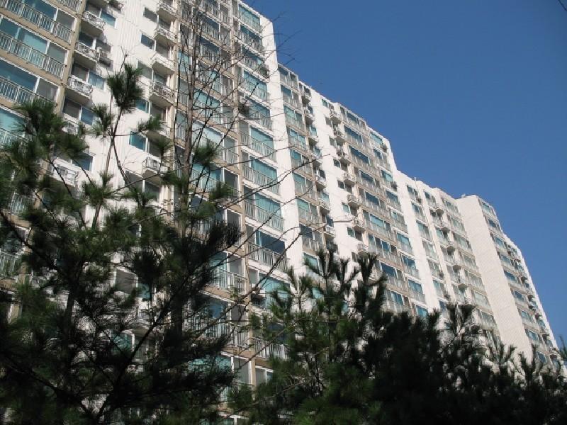 사진 036