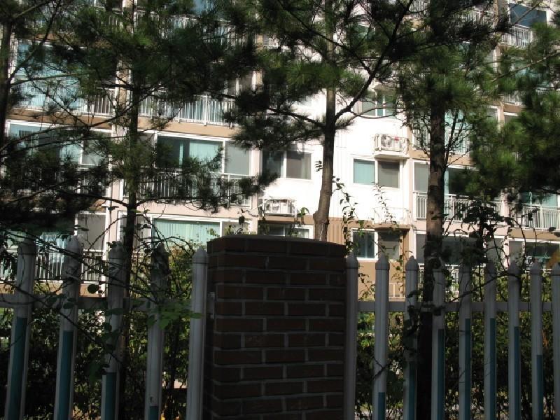 사진 037