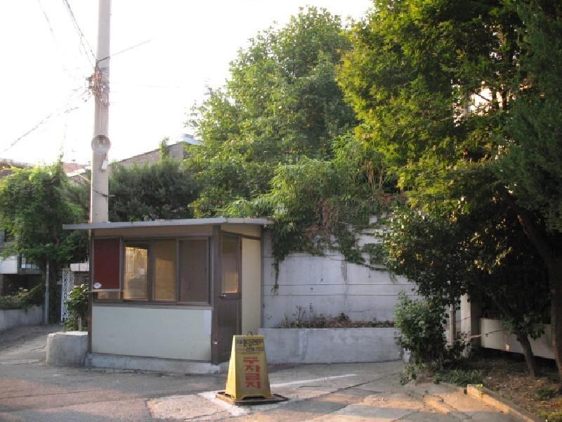 사진 529
