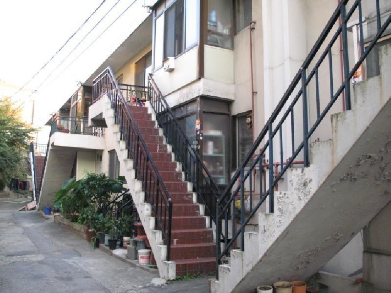사진 528