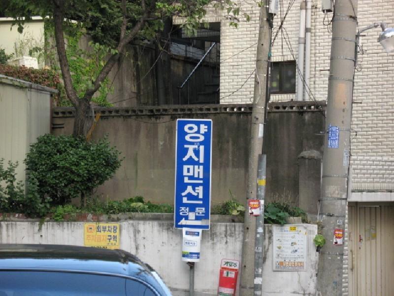 사진 530