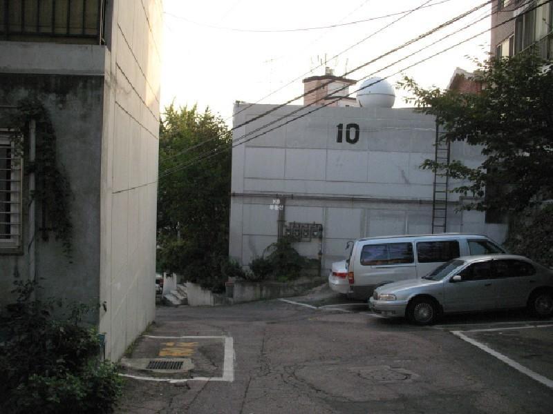 사진 524
