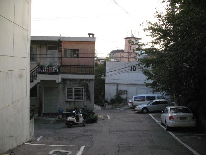 사진 527