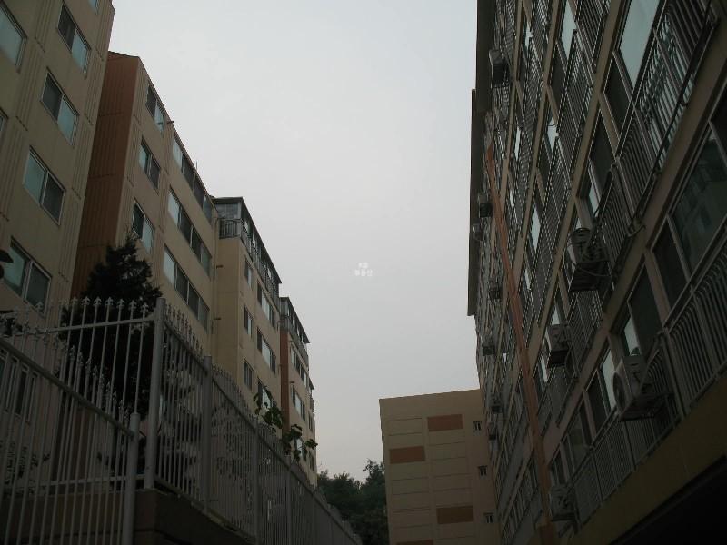 사진 496