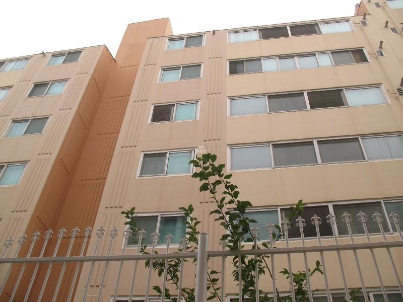 사진 497