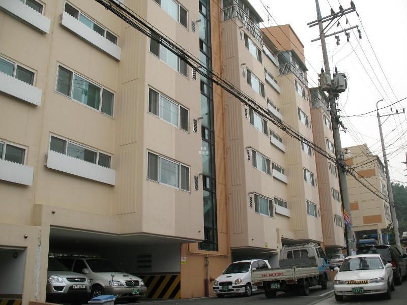 사진 499