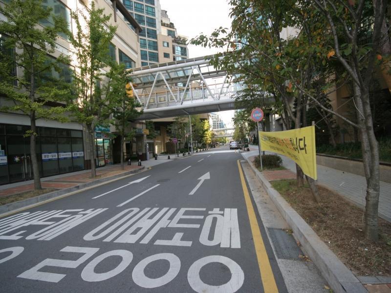 단지중앙도로