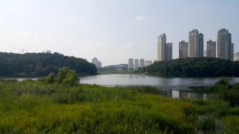 단지 인근에 광교호수공원이 있습니다