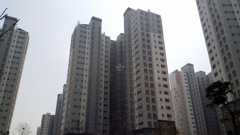 동간 거리가 넓어 쾌적한 단지 내 전경이에요