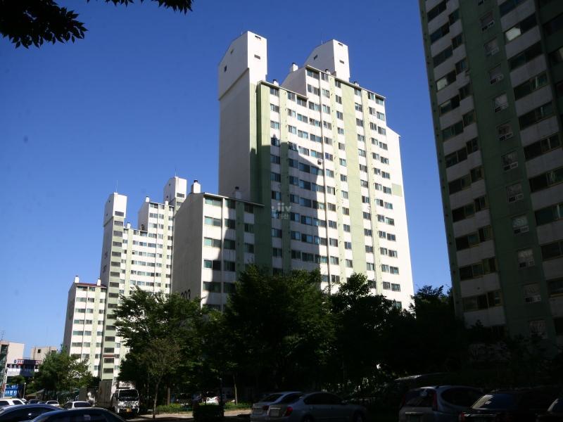203동