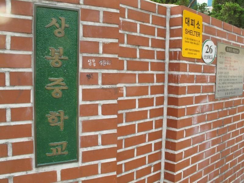 사진 025
