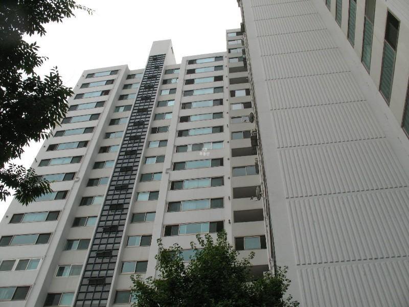 사진 109
