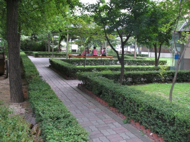 사진 182