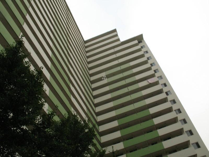 사진 188
