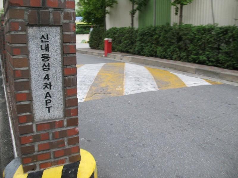 사진 175