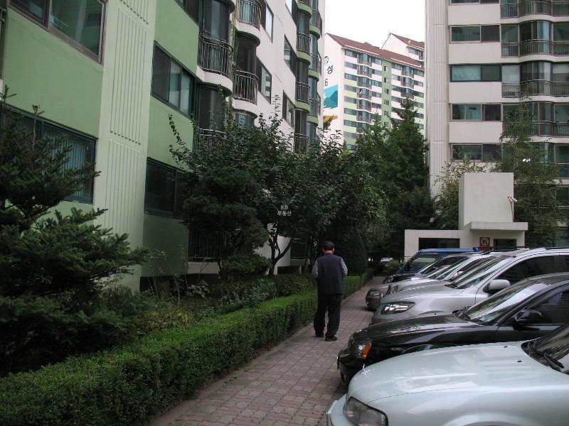 사진 183