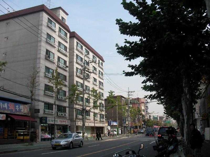 SANY0236