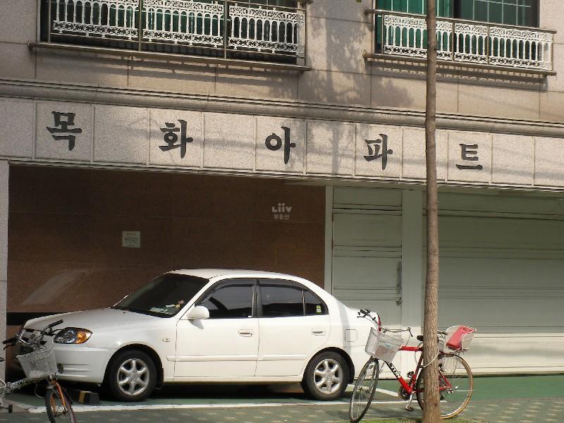 SANY0239