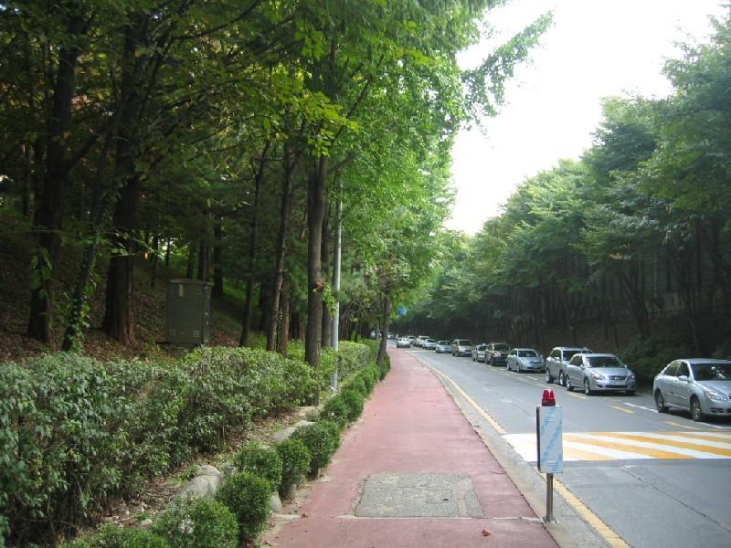 양재동길