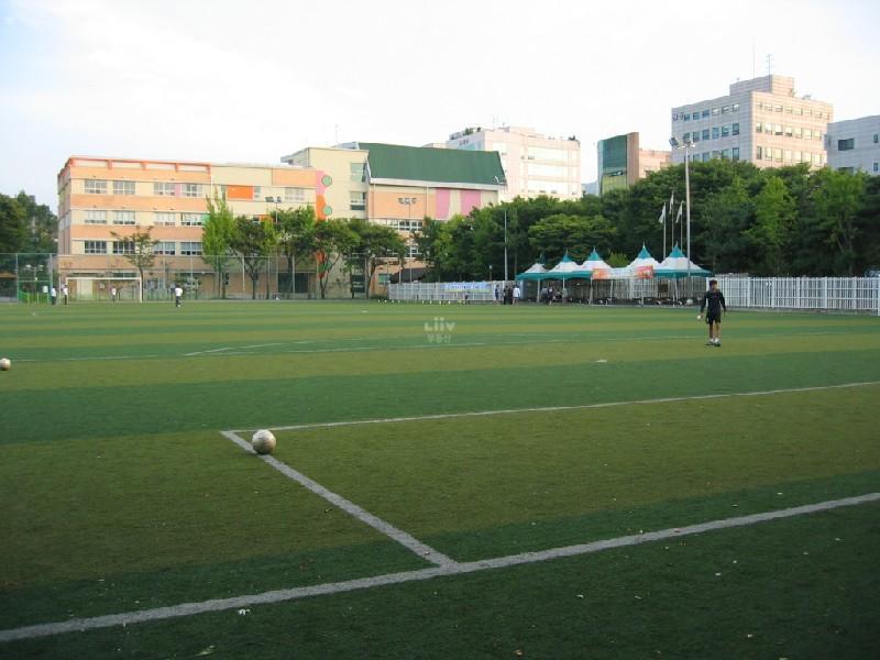 양재근린공원 인조구장
