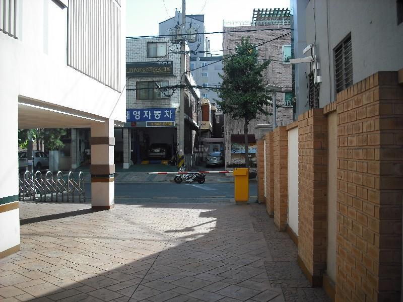 DSCF0582