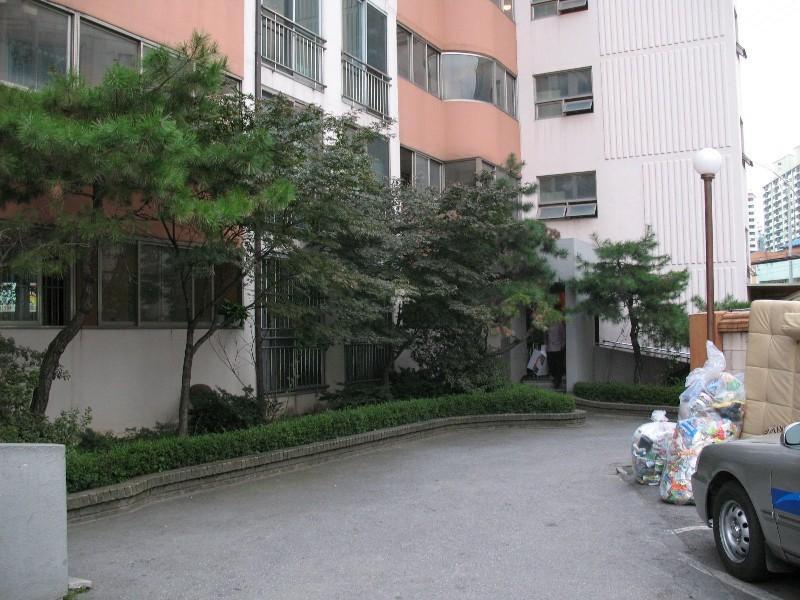 사진 207