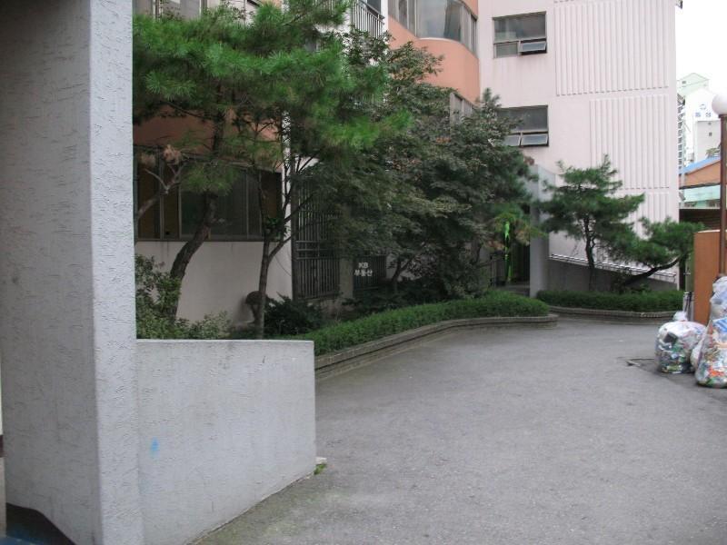 사진 210