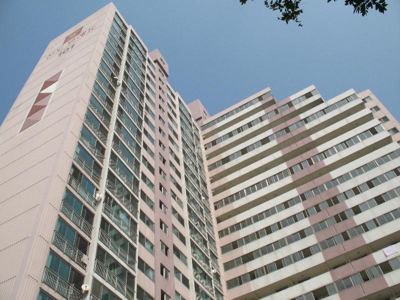 사진 353
