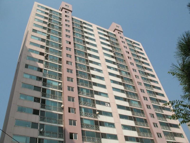사진 364
