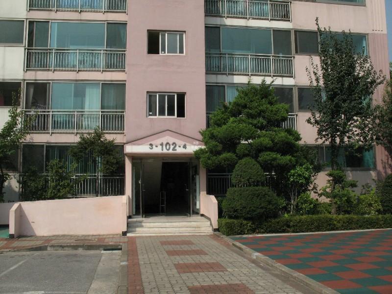 사진 367