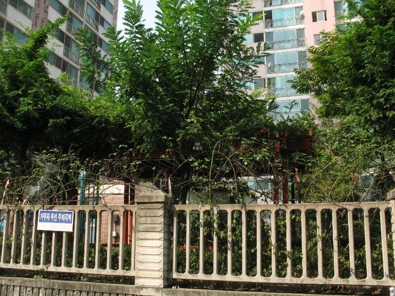 사진 372